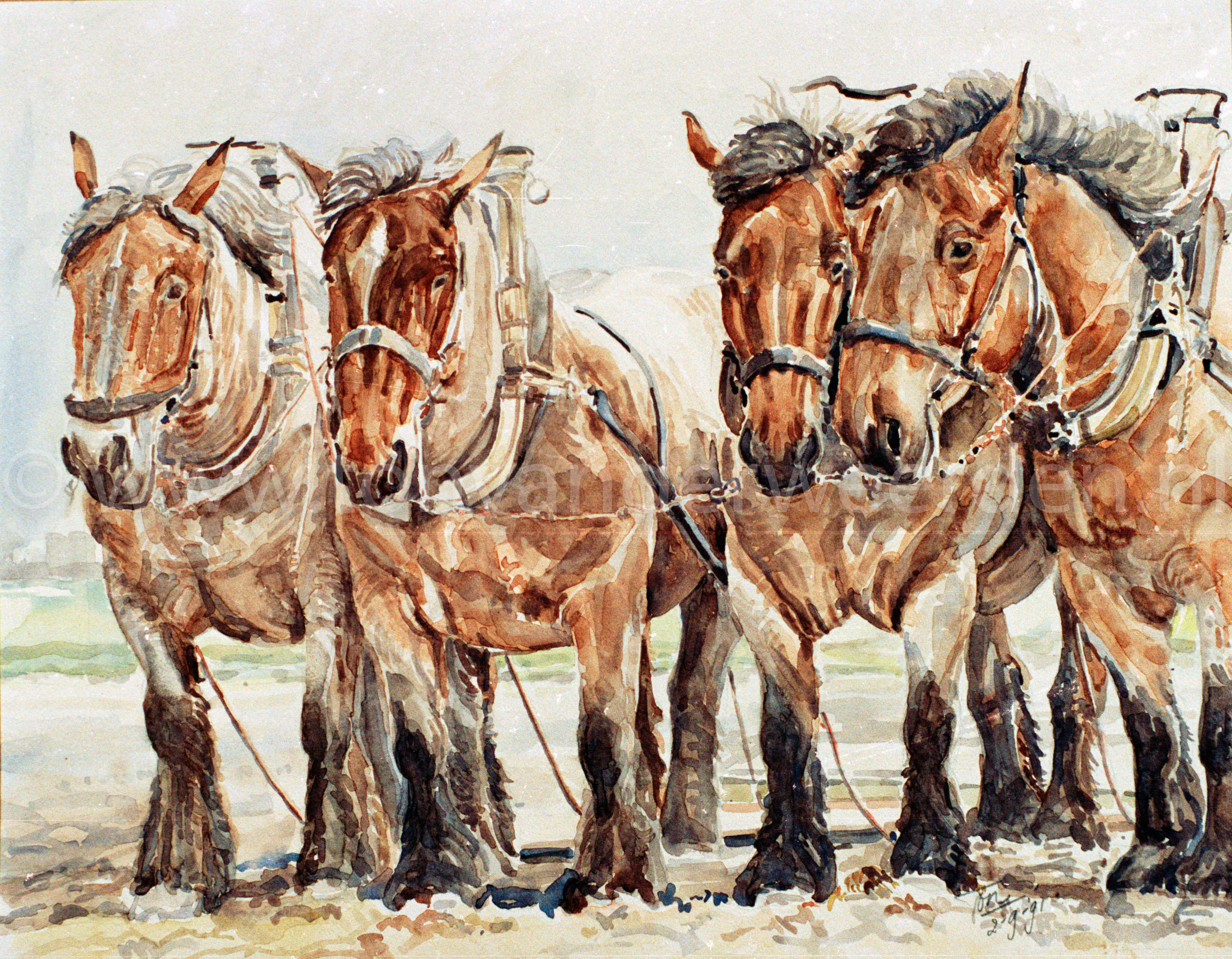 Vierspan Trekpaarden